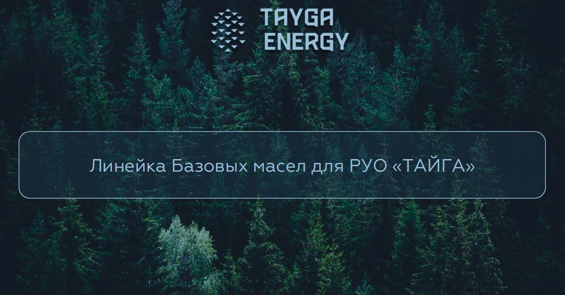 «Тайга Энерджи» выступила с докладом на  конференции «Нефтегазсервис-2019».